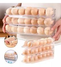 ORGANIZADOR DE HUEVOS X 20